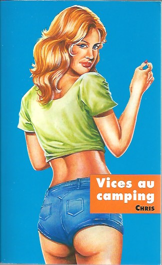 Couverture de l'album Vices au camping