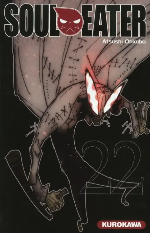 Soul eater 22