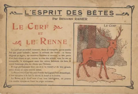 Esprit des bêtes