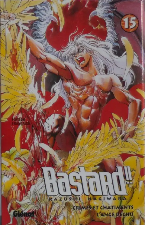 Bastard !! 15 Crimes et châtiments - l'ange déchu