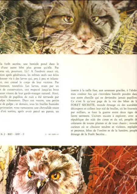 Verso de l'album La forêt secrète Tome 10
