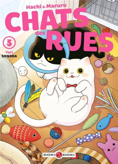 Hachi & Maruru - Chats des rues 3