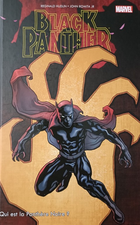 Couverture de l'album Panthère Noire Qui est la Panthère Noire ?