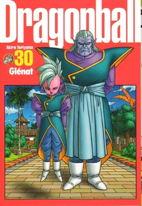 Dragon Ball Perfect Edition 30
