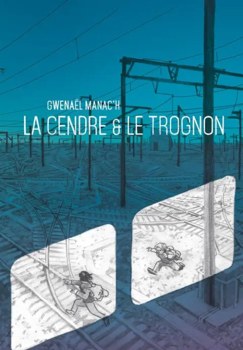 La Cendre et le trognon