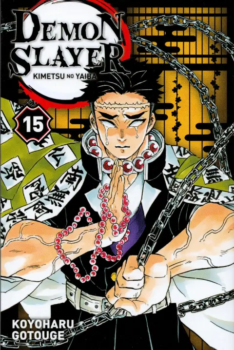 Demon Slayer - Kimetsu no yaiba 15