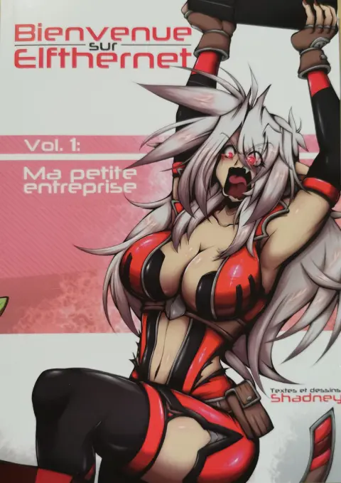 Bienvenue sur Elfthernet Vol. 1 Ma petite entreprise