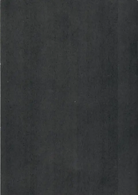 Verso de l'album Le Chant des anguilles