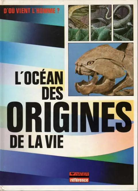 D'où vient l'homme ?