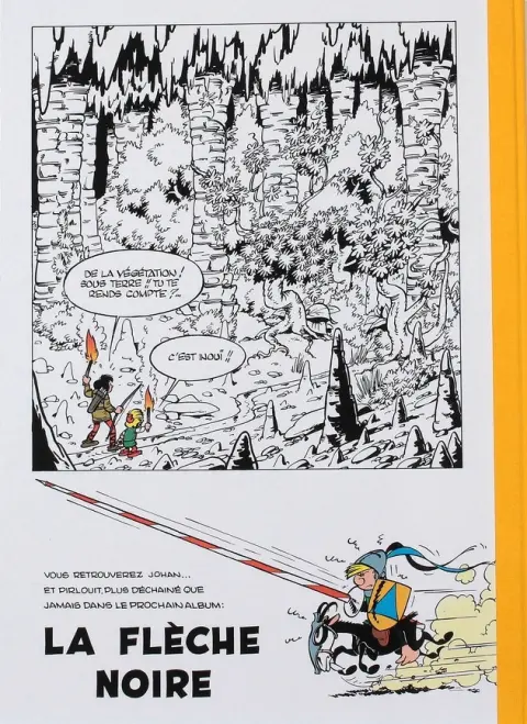 Verso de l'album Johan et Pirlouit Tome 6 La source des dieux