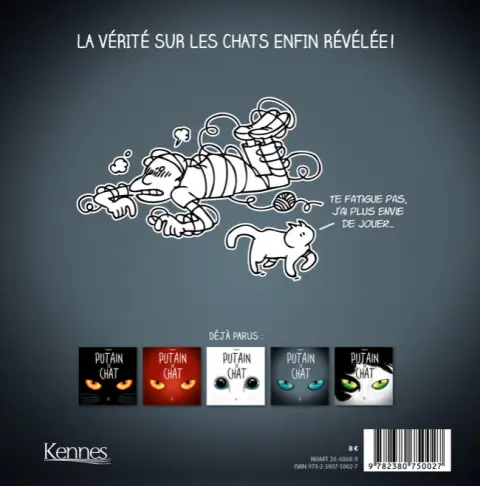 Verso de l'album Putain de chat IIII