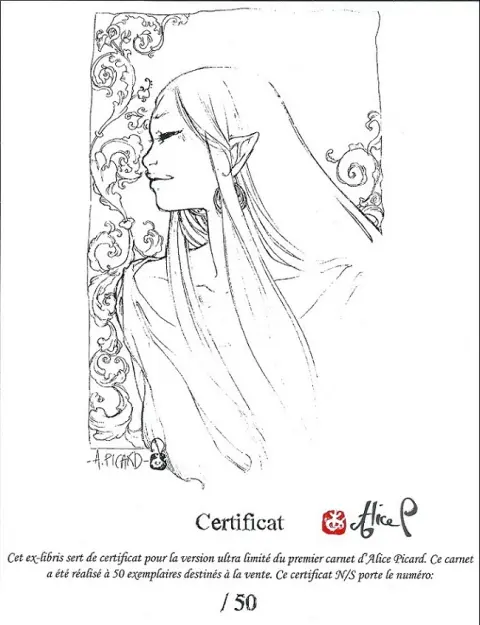 Autre de l'album Carnet d'auteur Alice Picard