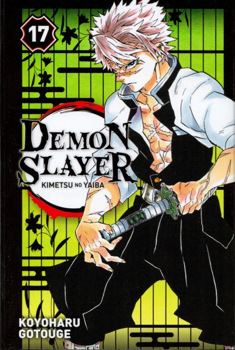 Demon Slayer - Kimetsu no yaiba 17