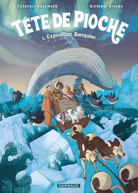 Tête de pioche 5 Expédition Banquise
