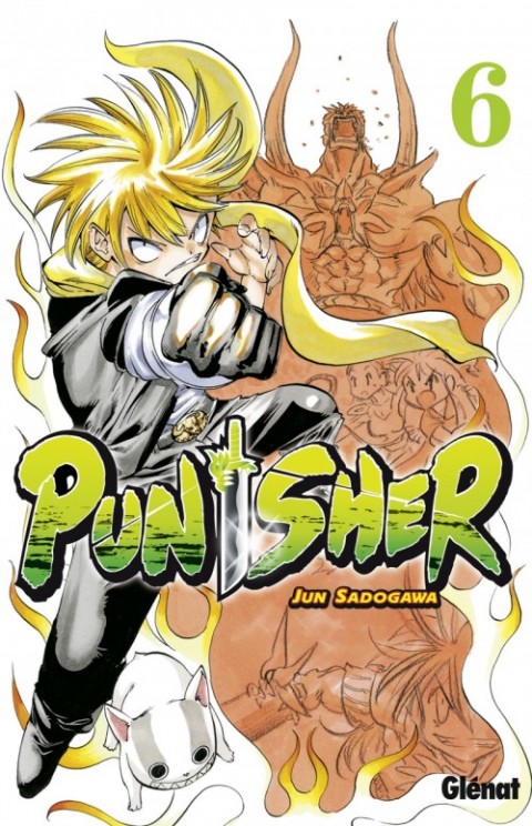 Couverture de l'album Punisher 6