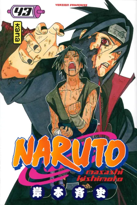 Couverture de l'album Naruto 43 Celui qui sait