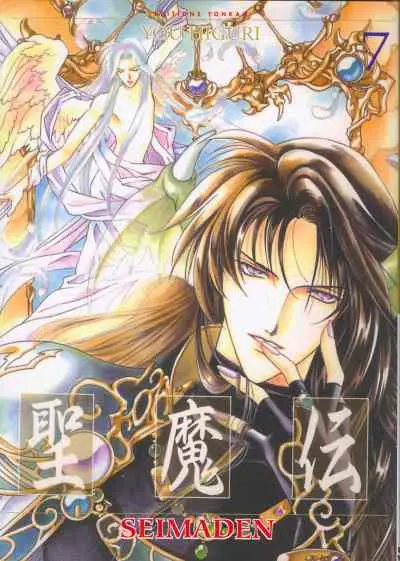 Seimaden Tome 7