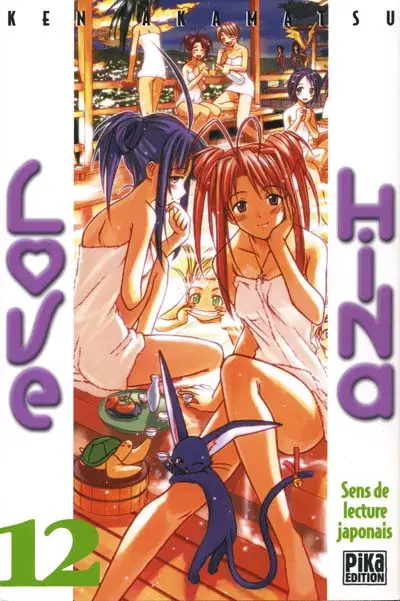 Love Hina 12