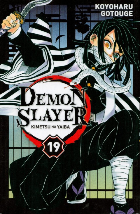 Couverture de l'album Demon Slayer - Kimetsu no yaiba 19
