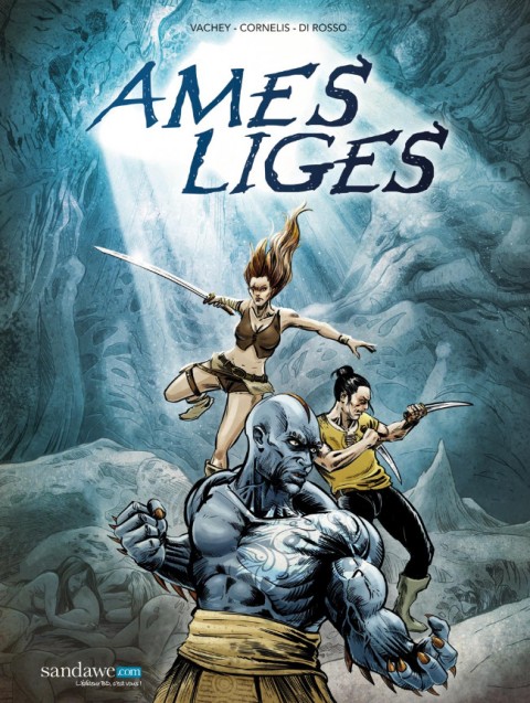 Couverture de l'album Ames-Liges