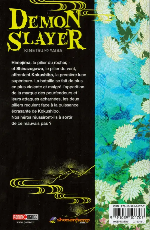 Verso de l'album Demon Slayer - Kimetsu no yaiba 20