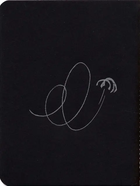 Verso de l'album Vanité