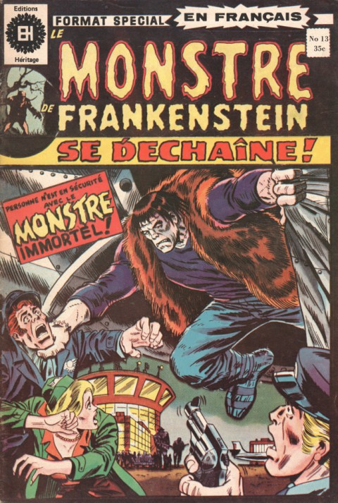 Le Monstre de Frankenstein Tome 13 Toutes des pièces de terreur !
