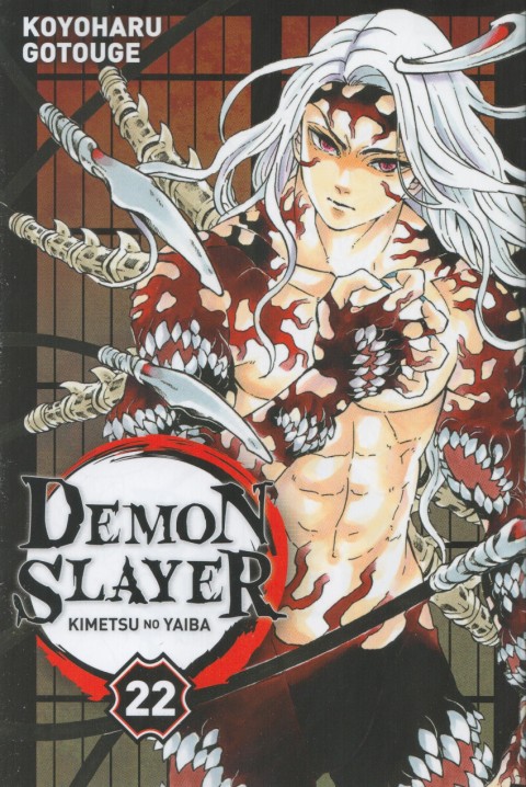 Couverture de l'album Demon Slayer - Kimetsu no yaiba 22
