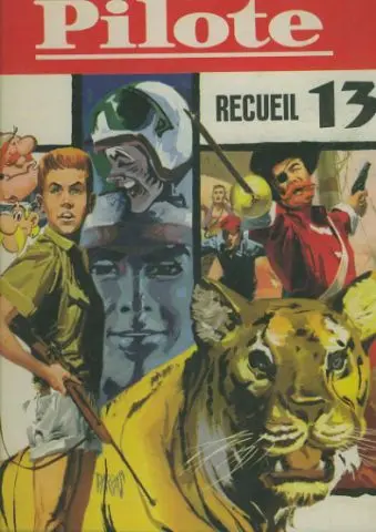 Pilote N° 13