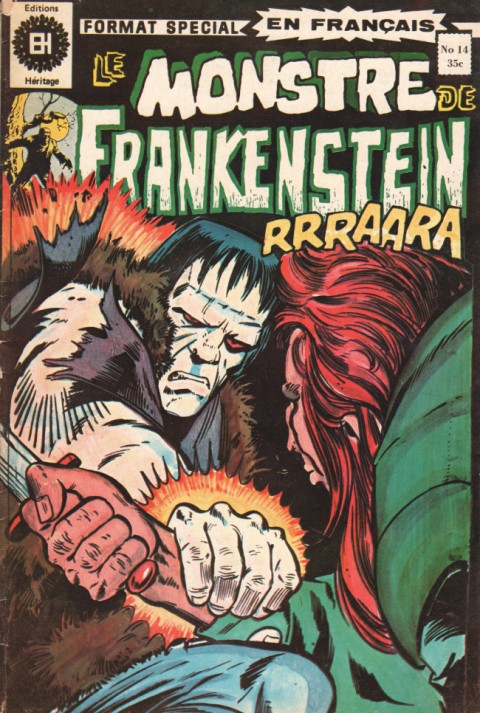 Couverture de l'album Le Monstre de Frankenstein Tome 14 La fureur d'une créature de la nuit !