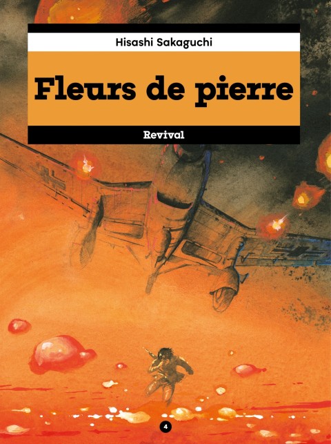 Couverture de l'album Fleur de Pierre - Fleurs de Pierre 4