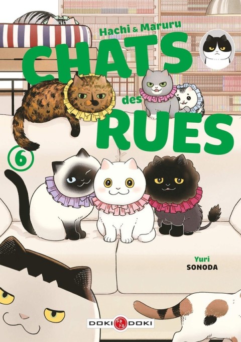 Hachi & Maruru - Chats des rues 6