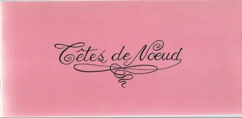 Le Petit livre rose de Morchoisne