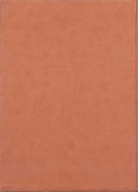 Verso de l'album Luuna Tome 4 Pok-Ta-Pok