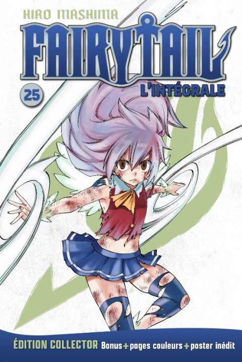 Couverture de l'album Fairy Tail - Hachette Collection 25