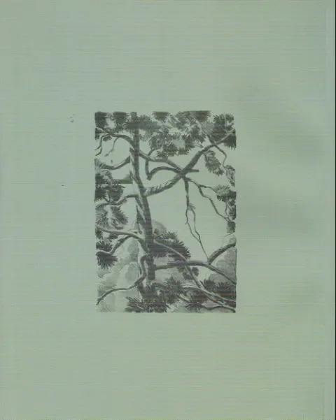 Verso de l'album Bois brut et herbes folles