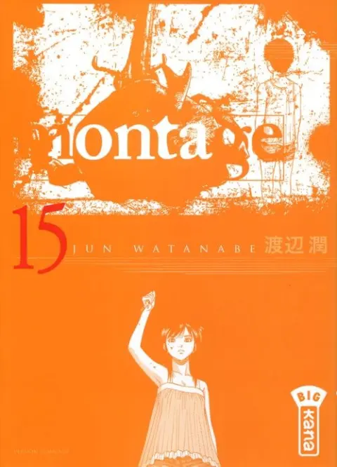 Montage 15