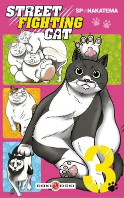 Street Fighting Cat 3