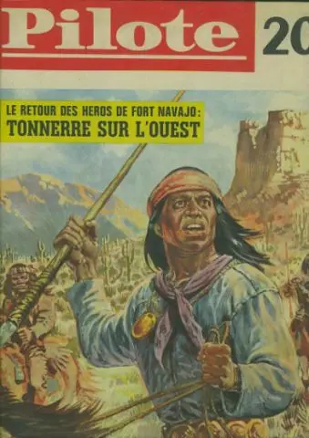 Pilote N° 20