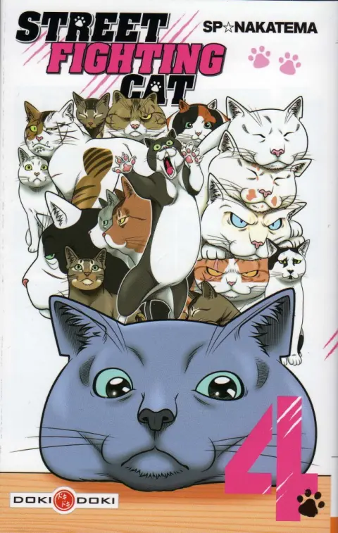 Street Fighting Cat 4