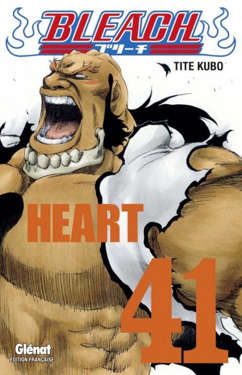 Bleach Tome 41 Heart