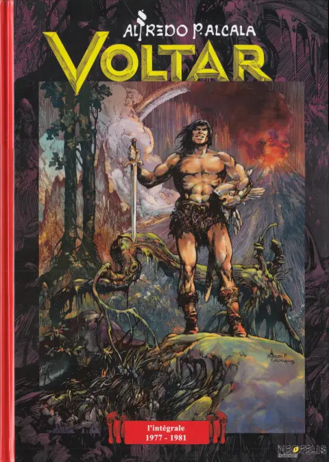 Voltar L'intégrale 1977-1981