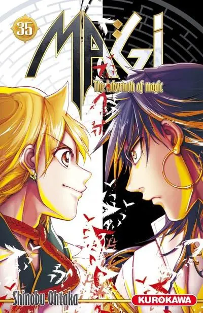 Magi - The labyrinth of magic 35