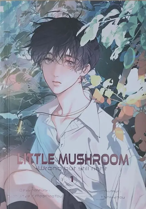 Little Mushroom - Wrong but still right