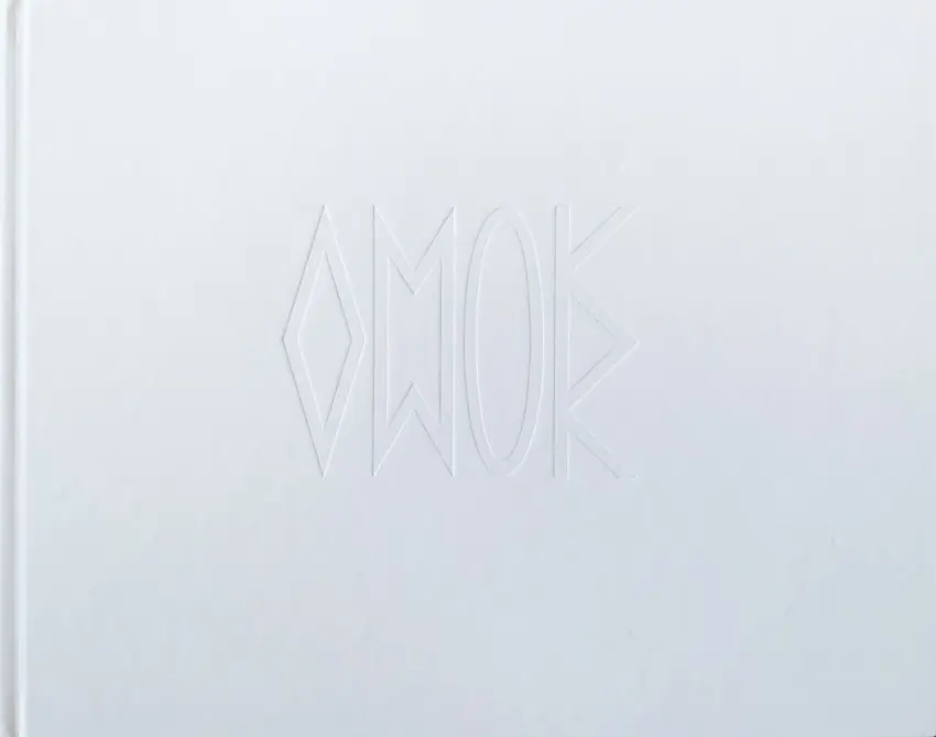 Couverture de l'album Amok - La saga des deux mondes Partie 1