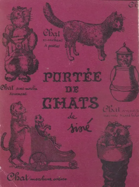 Les Chats Portée de chats