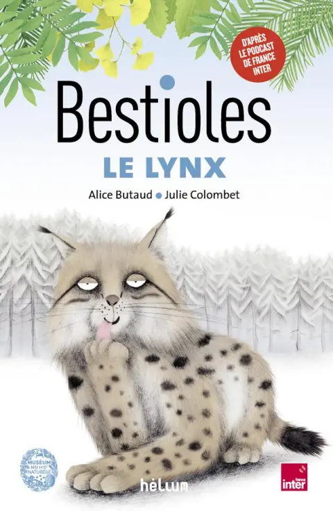 Bestioles 3 Le Lynx