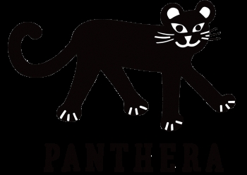 Panthera