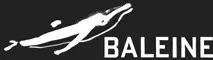 Baleine