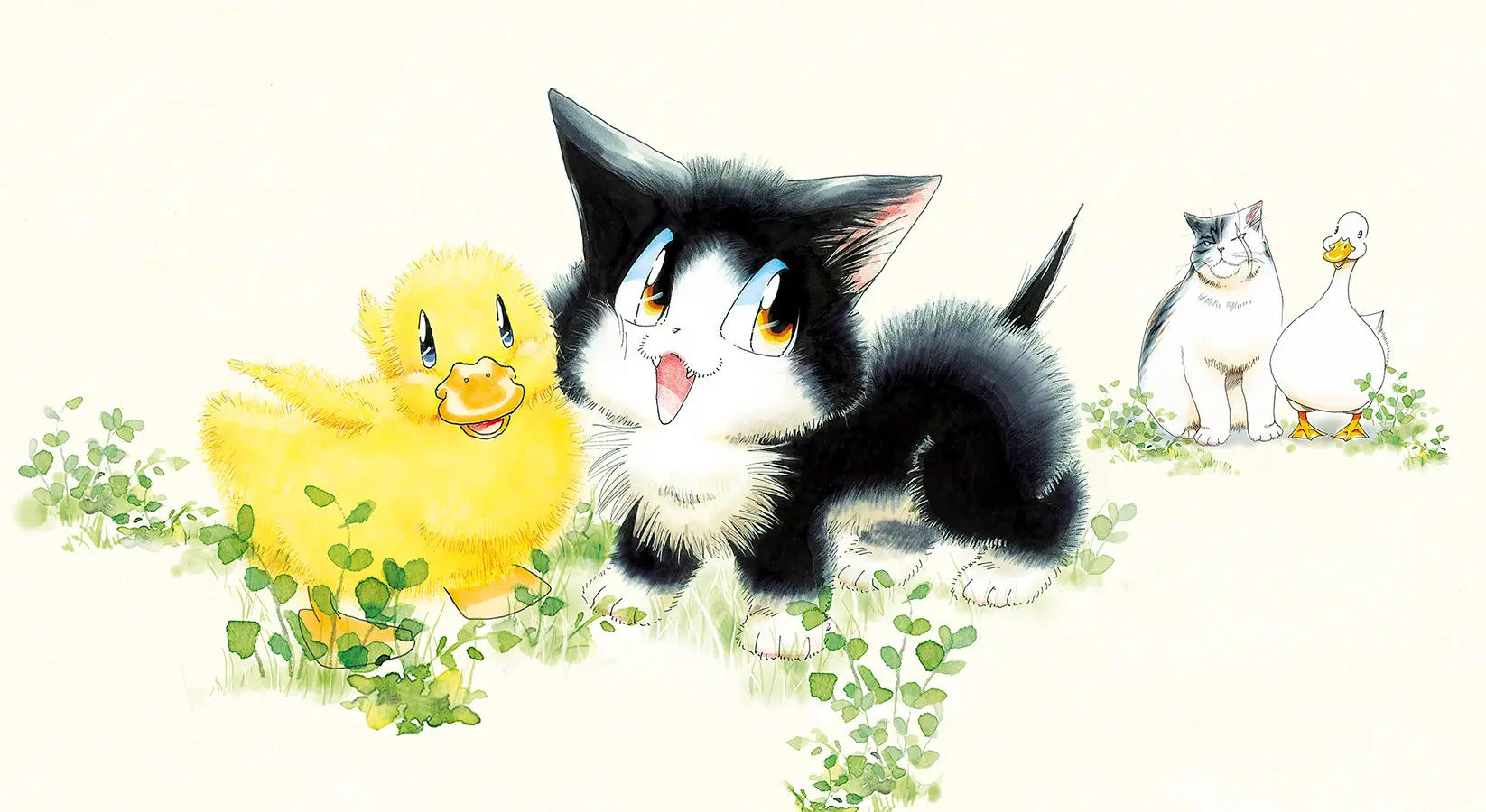 Miaou !